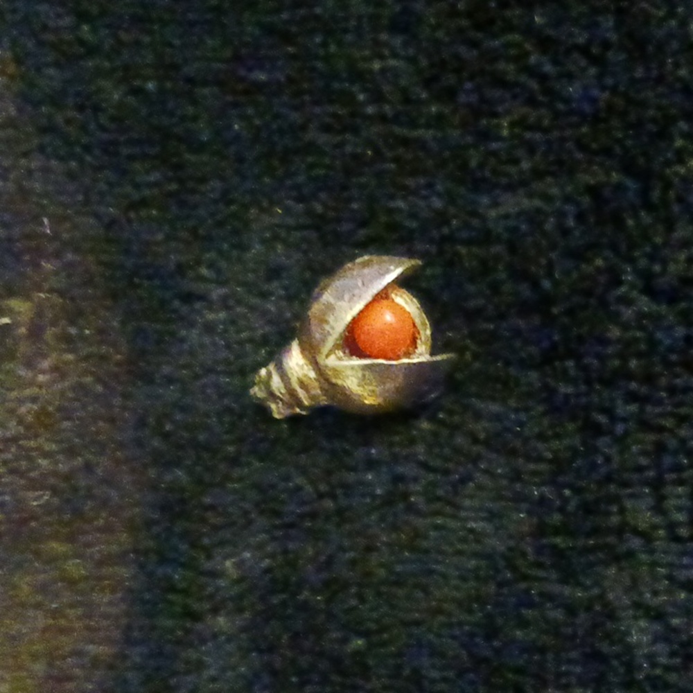 Vintage Coral Beetle Lapel pin